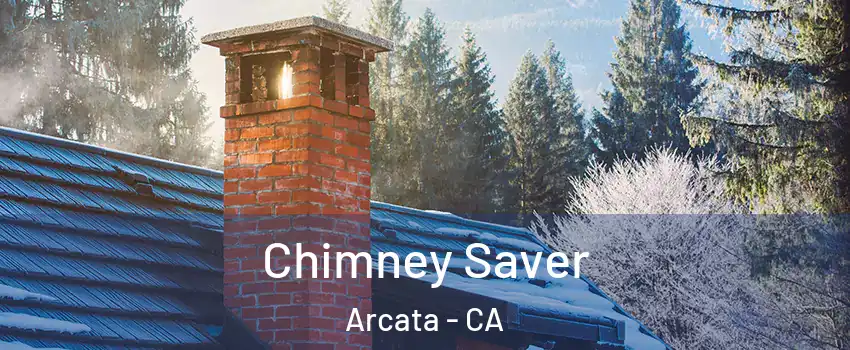  Chimney Saver Arcata - CA