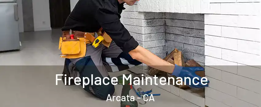  Fireplace Maintenance Arcata - CA
