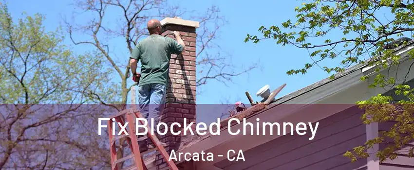  Fix Blocked Chimney Arcata - CA