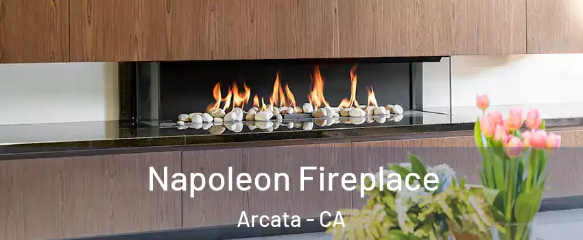  Napoleon Fireplace Arcata - CA