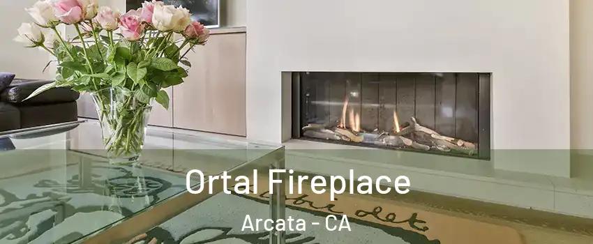  Ortal Fireplace Arcata - CA